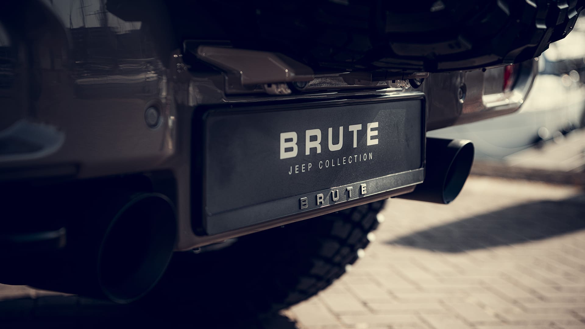 2022-03-28 Brute-4532