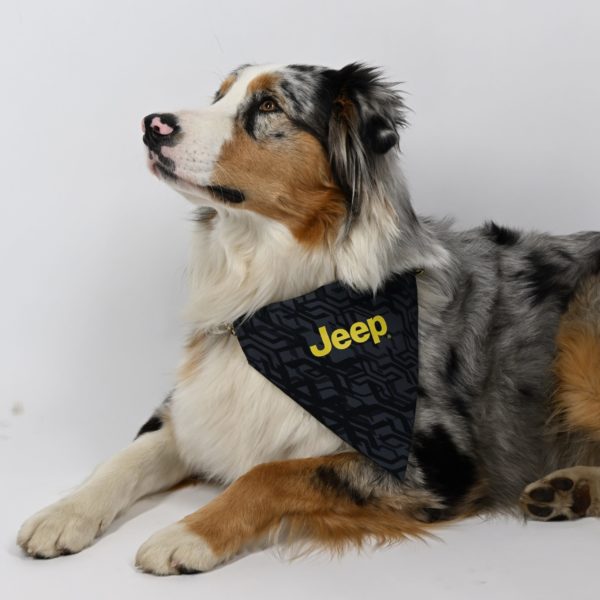 Jeep Dog Collar