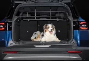 Jeep Compass Hondenrek Plastic