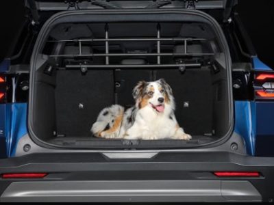 Jeep Compass Hondenrek Plastic