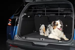 Jeep Compass Hondenrek Metalen