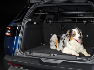 Jeep Compass Hondenrek Metalen